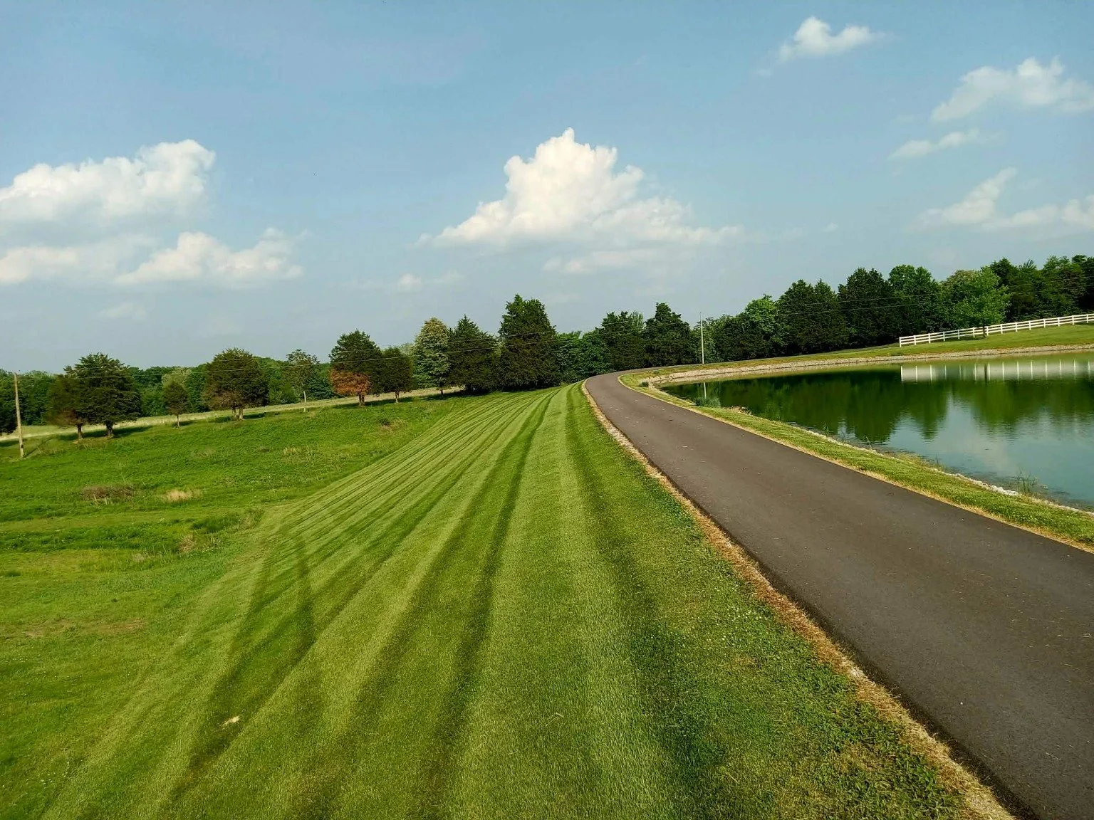 Freshly striped lawn beside pond