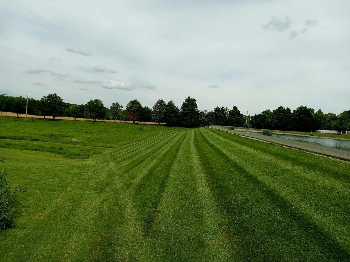 Large striped lawn