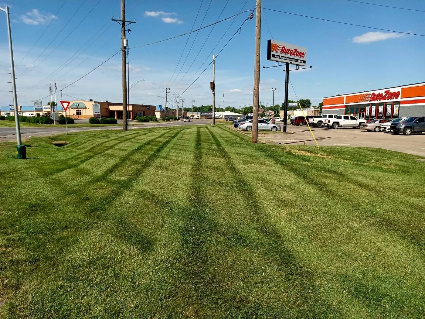 Commercial striped lawn