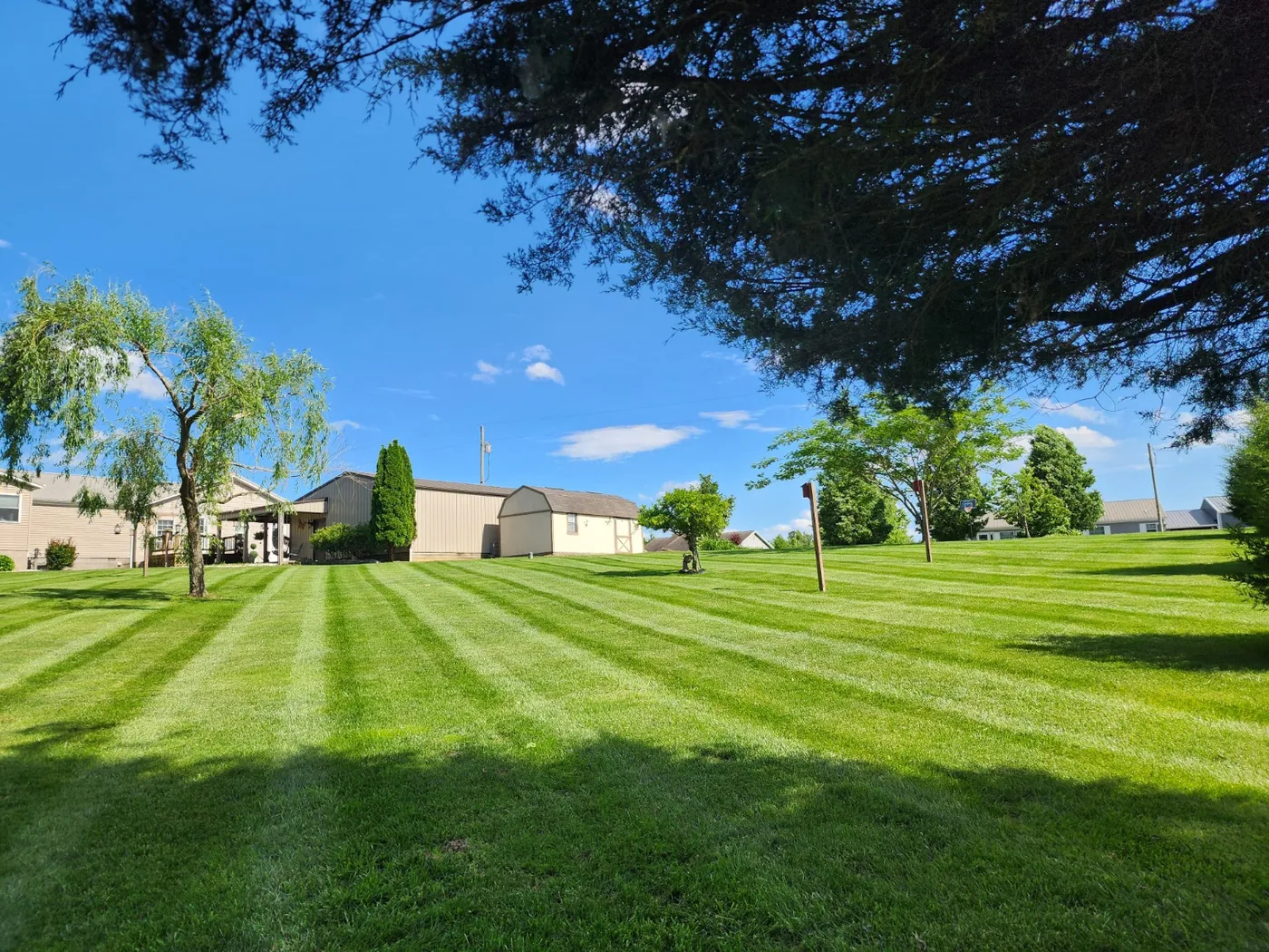 Large striped lawn in the WEEDZ2GRASS service area